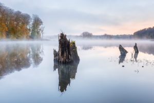 Deutschland, Mecklenburg-Vorpommern, Müritz-Nationalpark, Teilgebiet Serrahn, Morgennebel am Schweingartensee im Herbst Deutschland, Mecklenburg-Vorpommern, Müritz-Nationalpark, Teilgebiet Serrahn, Morgennebel am Schweingartensee im Herbst